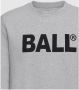 Ball Sweatshirt R. Lott Grijs - Thumbnail 2