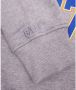 Ball Grijze Melange Sweatshirt R. Wills Stijl Gray Dames - Thumbnail 2