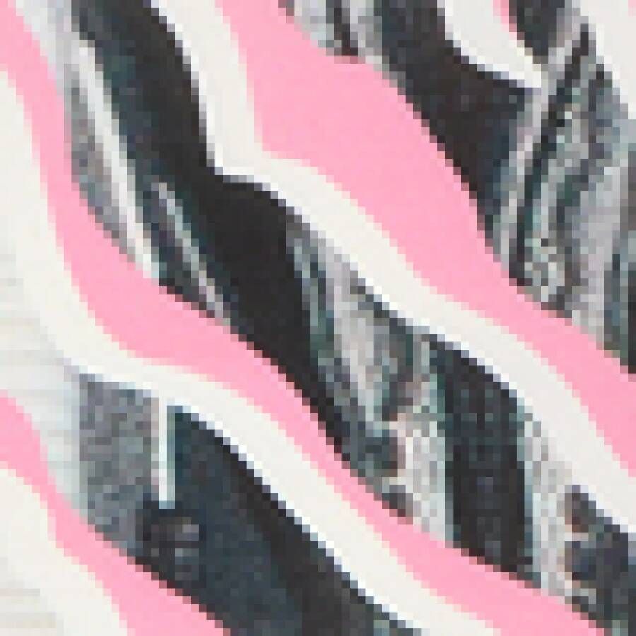 carlo colucci Opvallende Print Jurk Multicolor Dames