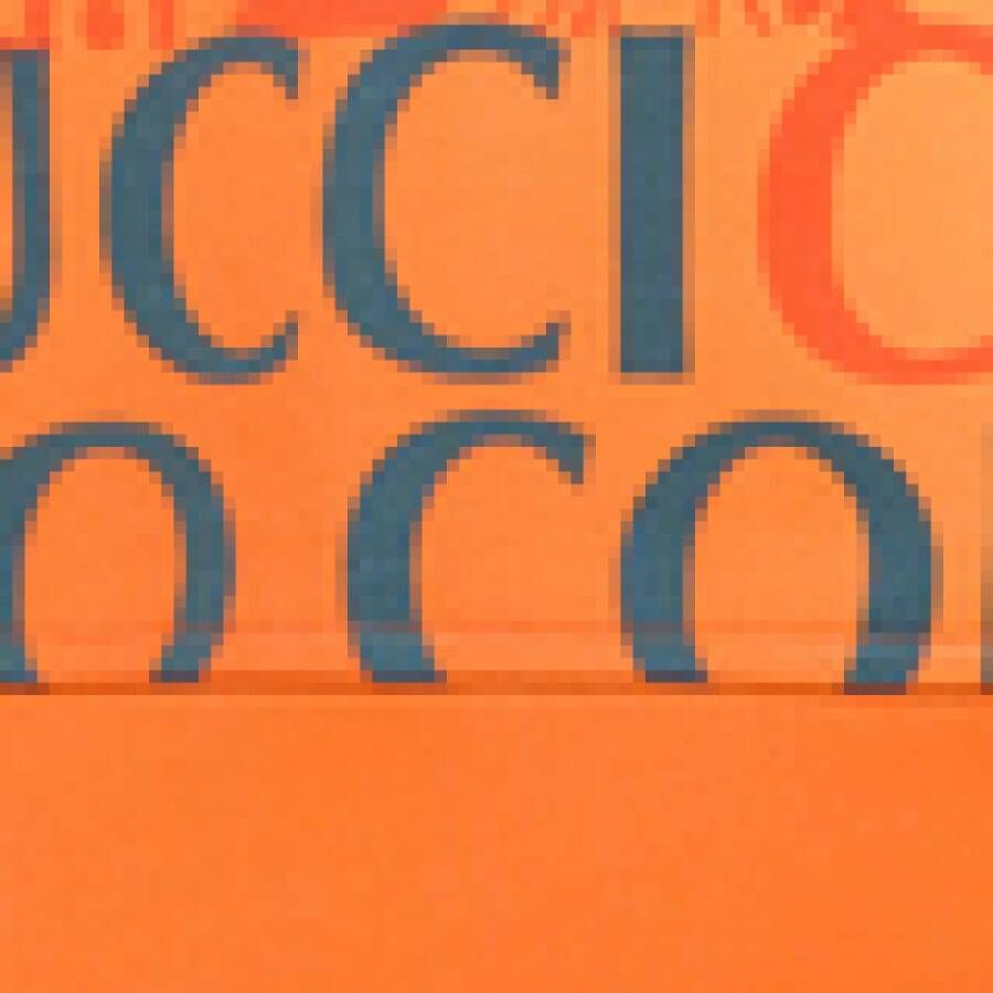 carlo colucci Bandana Oversize Sweatshirt De Chirico Orange Heren