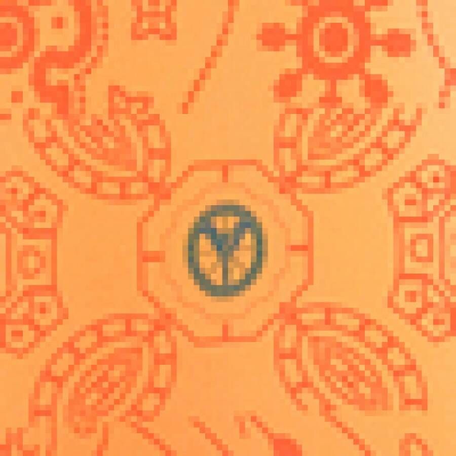 carlo colucci Bandana Oversize Sweatshirt De Chirico Orange Heren