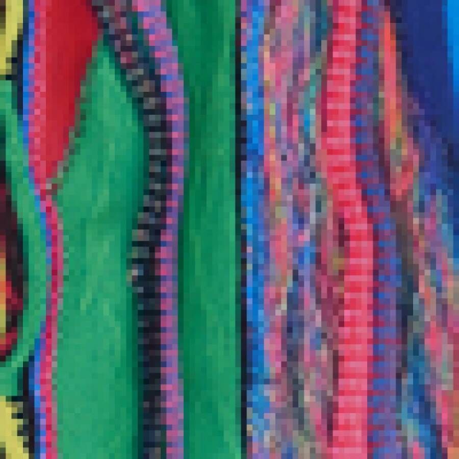carlo colucci Zwembroek met gebreid patroon Multicolor Heren