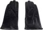 Cavalli Class Damehandschoen Zwart Blauw Handschoenen Stijl Multicolor Dames - Thumbnail 2