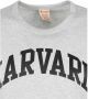Champion T-shirt Harvard Grijs Heren - Thumbnail 2