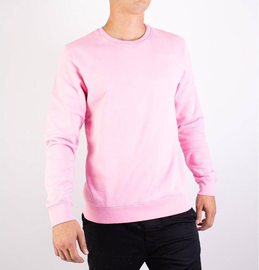 Colorful Standard Klassiek organisch sweatshirt Roze Heren
