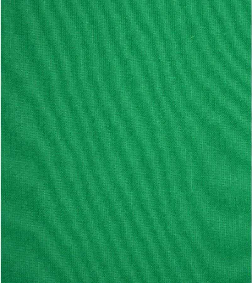Colorful Standard Kleurrijke standaard trui Kelly Green Groen Heren