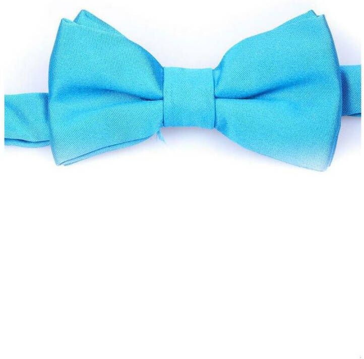 Daniele Alessandrini bowtie Blauw Heren