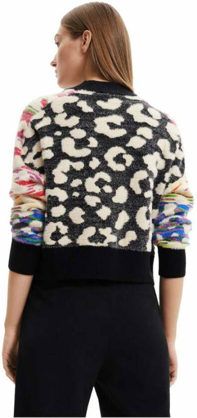 Desigual Round-neck Knitwear Zwart Dames
