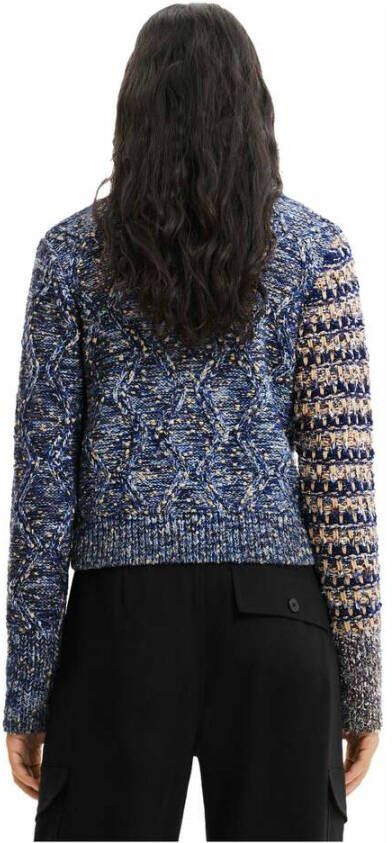 Desigual Sweatshirts Blauw Dames