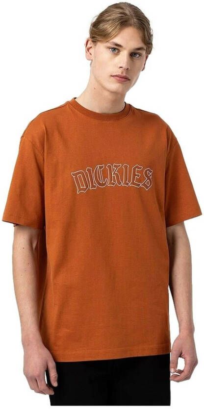Dickies T-Shirts Bruin Heren