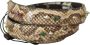 Dolce & Gabbana Exotische Leren Kristallen Omkeerbare Band Beige Dames - Thumbnail 2