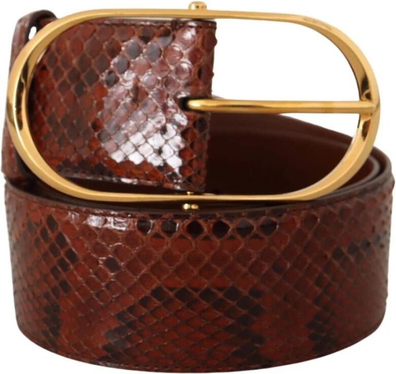 Dolce & Gabbana Belts Bruin Dames