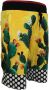Dolce & Gabbana Multicolor Cactus Print Katoenen Sweat Shorts Multicolor Heren - Thumbnail 2
