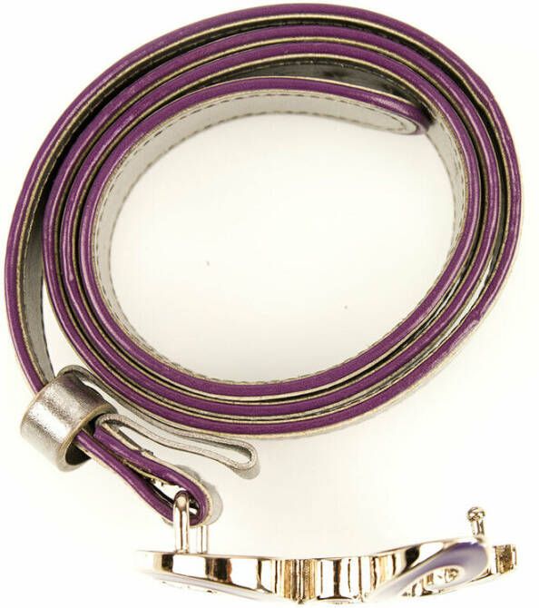 Dolce & Gabbana Pre-owned Belt Paars Dames