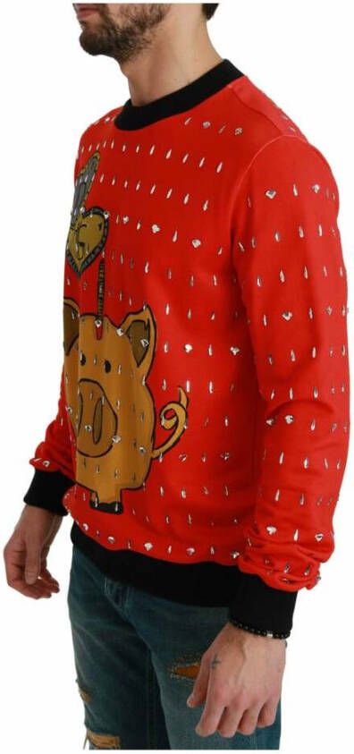 Dolce & Gabbana DG Red Crystal Sweater Rood Heren
