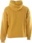 Dolce & Gabbana Heren Hoodie Yellow Heren - Thumbnail 2