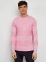 Eden Park Sweatshirt Hoodies Roze Heren - Thumbnail 2