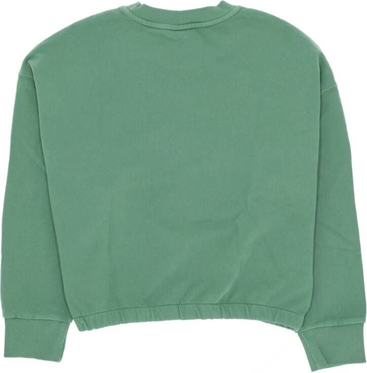 Element Sweatshirts Groen Dames