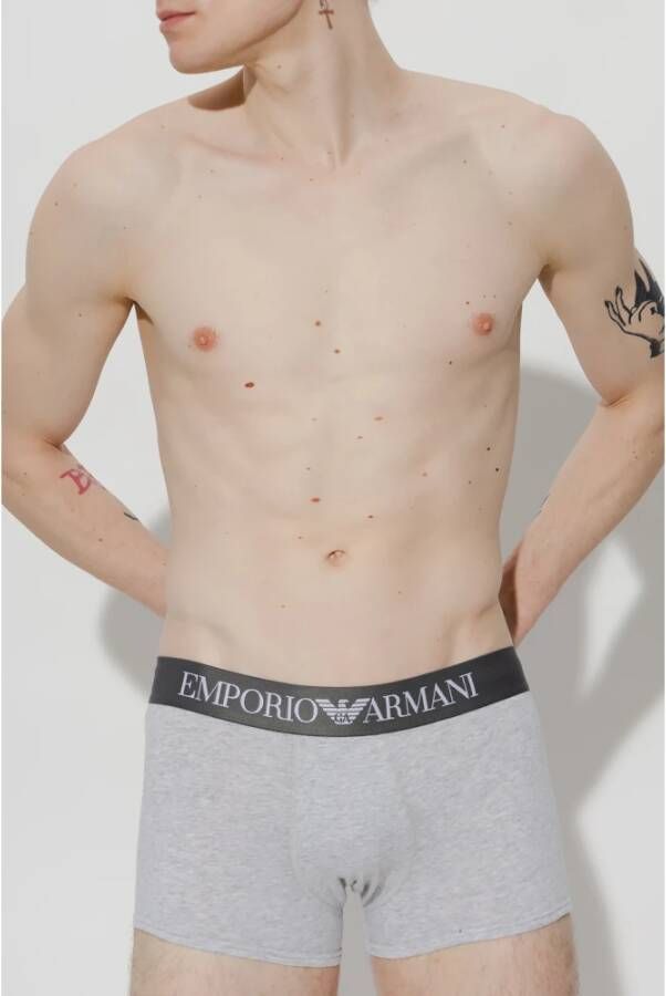 Emporio Armani Underwear Grijs Heren