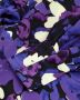 Fabienne Chapot Blauwe Bloomsberry Ruffle Mouw Blouse Black Dames - Thumbnail 9
