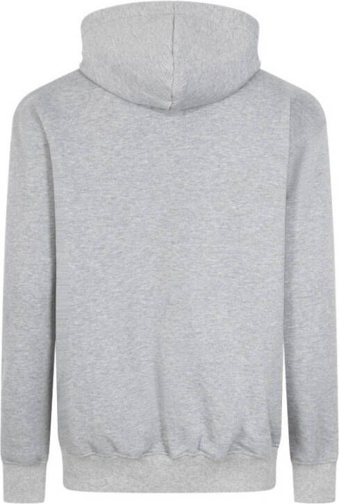 Family First Milano Heritage Hoodie Senior Gray Blauw Heren