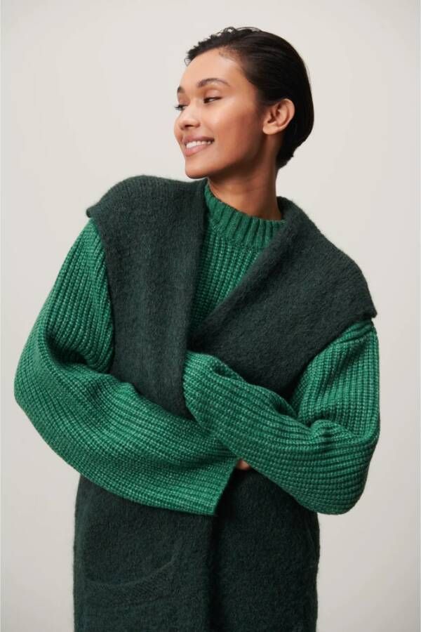 Jane Lushka Luxe Groene Mohair en Wol Mouwloze Cardigan Green Dames