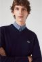 Lacoste Eco-vriendelijke katoenen V-hals trui met geribbelde afwerking Blue Heren - Thumbnail 2