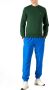 Lacoste Comfortabele Crewneck Sweatshirt voor Mannen Green Heren - Thumbnail 9