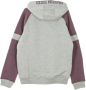 Majestic filatures NHL Wells Fashion Hooded Sweatshirt Grijs Heren - Thumbnail 2