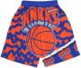 Mitchell & Ness Basketbal shorts NBA Jumbotron 2.0 Mesh Short Hardwood Classics Nejnet Blauw Heren - Thumbnail 2