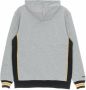 Mitchell & Ness Hoodie NFL Pinnacle Heavyweight Fleece Hoodie Pitste Grijs Heren - Thumbnail 2