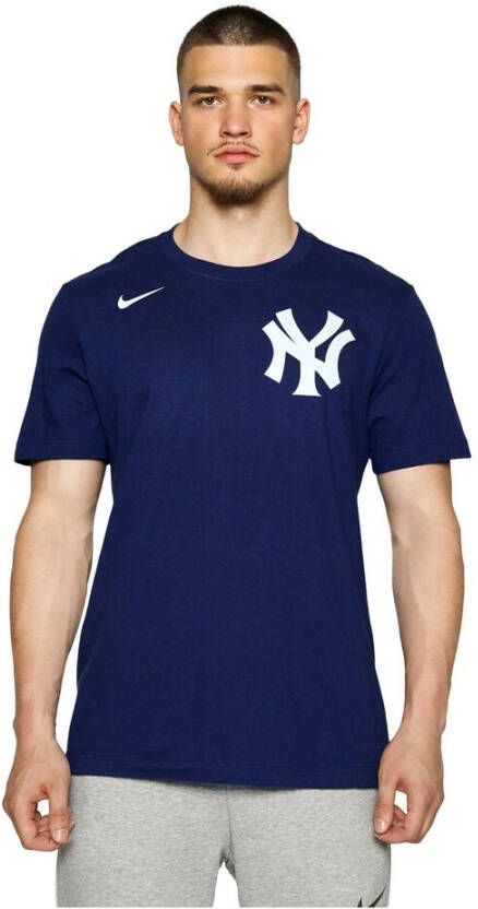Nike Training T-Shirts Blauw Heren