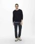 ONLY & SONS Trui met ronde hals WYLER LIFE CREW KNIT - Thumbnail 4