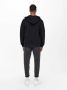 ONLY & SONS Capuchonsweatvest CERES LIFE ZIP THR. HOODIE SWEAT - Thumbnail 9