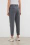 PESERICO Trousers Grijs Dames - Thumbnail 2
