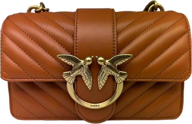 pinko Bags Bruin Dames