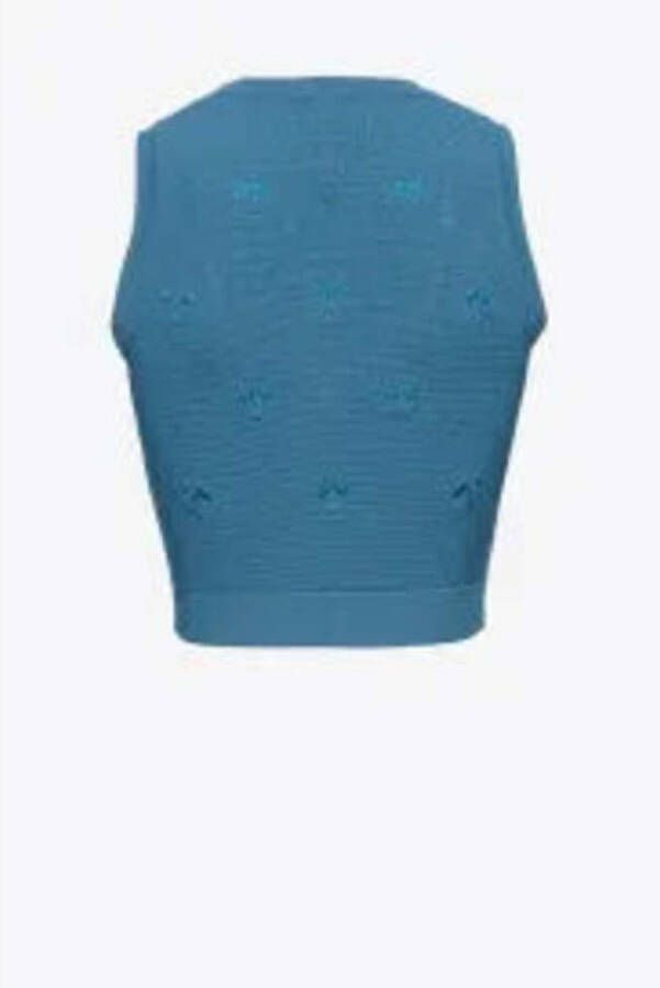 pinko Cardigans Blauw Dames