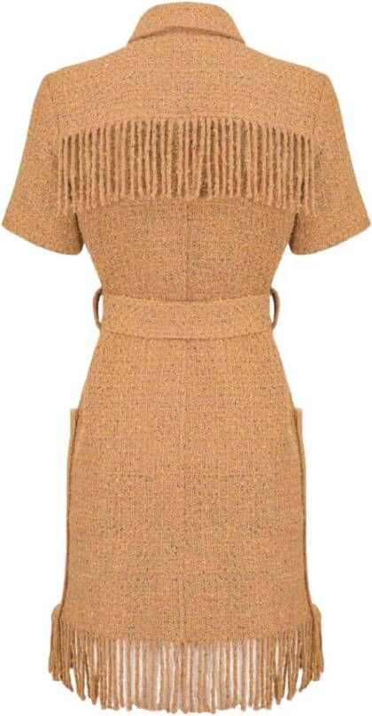 pinko Shirt Dresses Bruin Dames