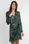 Pinko Korte Viscosejurk met Luipaardprint Multicolor Dames - Thumbnail 3