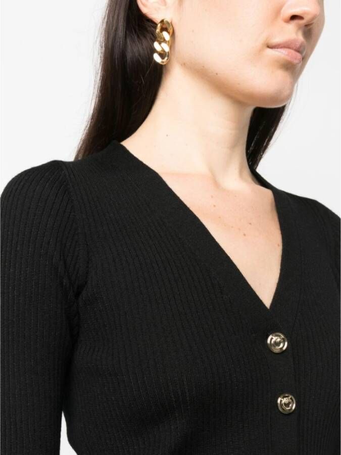 pinko Zwarte Sweaters met Transparant Logo Zwart Dames