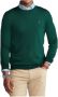 Polo Ralph Lauren Groene Sweaters LS CN Pp-Long Sleeve-Pullover Groen Heren - Thumbnail 11