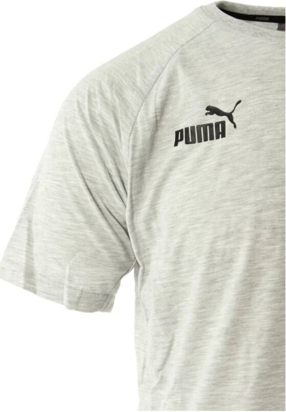 Puma teamFINAL Grijs T-shirt Maat S Grijs Heren