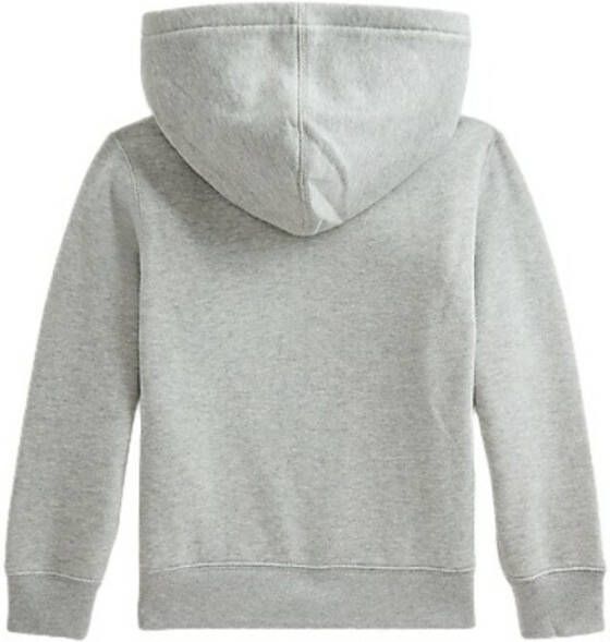 Ralph Lauren Hoodie Grijs Heren