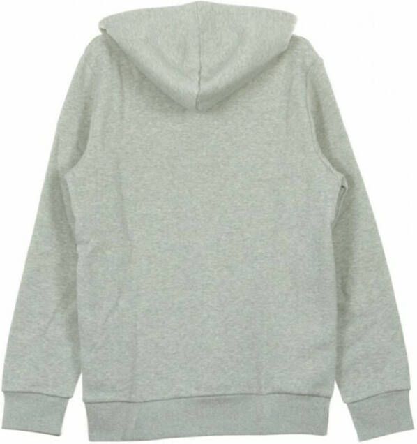 Reebok Hoodies Grijs Heren