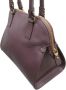 Salvatore Ferragamo Pre-owned Voldoende lederen handtassen Purple Dames - Thumbnail 2