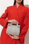 Salvatore Ferragamo Wanda Mini schoudertas Grijs Dames - Thumbnail 2