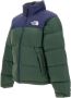 The North Face Down Jackets Groen Heren - Thumbnail 2