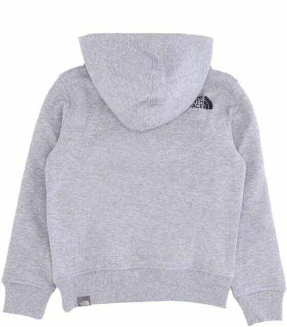 The North Face Hoodies Grijs Dames