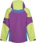 The North Face Carduelis Jas Paars Geel Blauw Multicolor Heren - Thumbnail 5