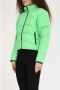 The North Face Chlorophyll Green High Neck Donsjack Green Dames - Thumbnail 2